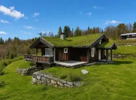Cosy mountain cabin in Golsfjellet