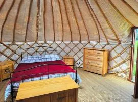 Yurt Sleeps 2 - Bbq & Fire Pit - Dogs Welcome