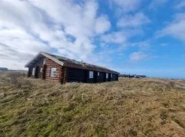 Beautiful log cabin near the water at Tornby-Hirtshals