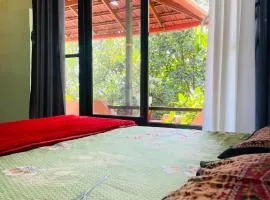 Under The Wind Tree - Homestay in Coorg