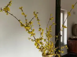 Kirisavan Loft