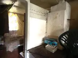 Mashroom house
