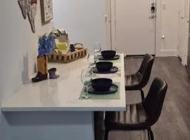 Luxury 1bed 1bath Near Riverwalk, and The Pearl