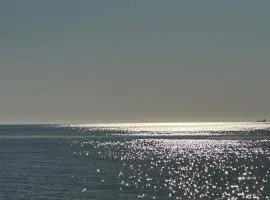 Дом у моря на 8 человек Грибовка