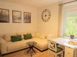 Apartma PRI MICI Javorje