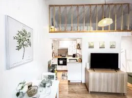 Le Studio Vernet, Intra-muros Avignon et Climatisation
