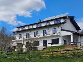 Panoramic Lodge Bran
