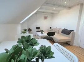 Bright and central city apartment near Aalborg Bus