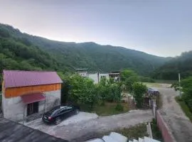 Teo's cottage