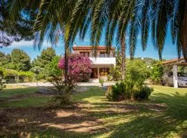 Palm Tree Villa