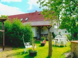 Ferienhaus Mecklenburgische Seenplatte