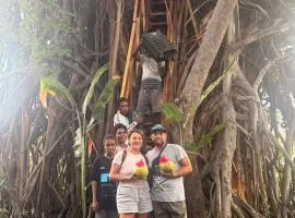 Fireworks Tree House