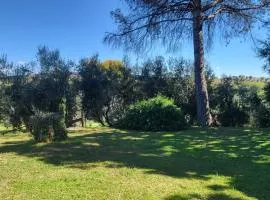 la finestra sul cortile 2