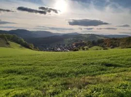 Ferienwohnung Zum Schlehenberg