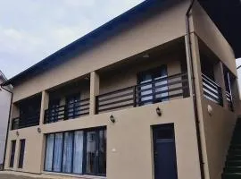 Casa la Poalele Pietrosului
