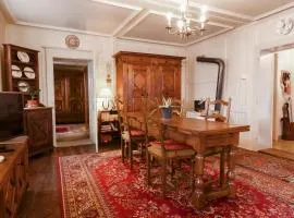 Appartement ambiance vieux chalet