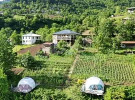 Glamping Machakhela 2