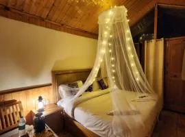 Hotter Potter Stays Manali