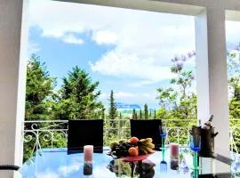 Daria sea view house