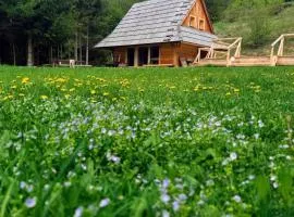 Górska Osada Berdo