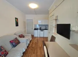 მგზავრები Mgzavreni IV აპარტამენტი Apartment 205