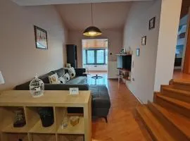 Apartment Roko Fazana