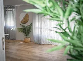 Beautiful loft in Apartamentos Parrillada, Ourense