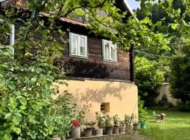 Casa Florica wooden house