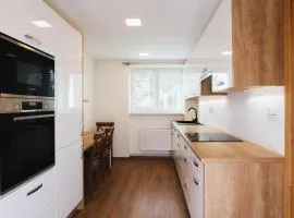 Modern Apartment near Brno