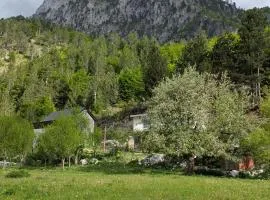 Guests house, Artani