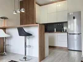Apartament Okulickiego 80