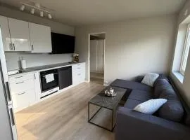 Discover Lofoten from this cosy apartment!