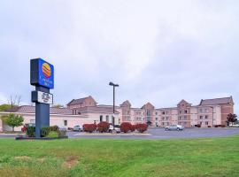 Comfort Inn Birch Run - Frankenmuth: Birch Run şehrinde bir otel