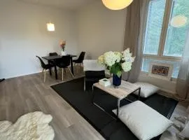 Wonderful flat for 1-2 person center Vaasa