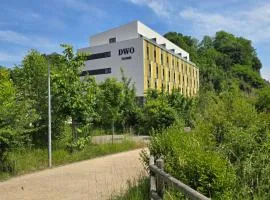 DWO San Sebastián