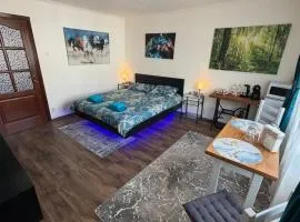 Alio Room Campulung Moldovenesc