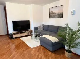 Apartma Mici