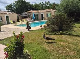 Une Chambre à la Campagne