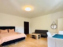 Affordable Rooms in a Villa with Garden near Danube For Long stay