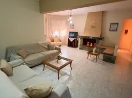 Silver View House