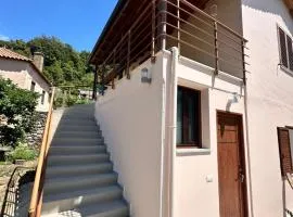Magnus Apartments
