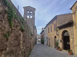 IL PALAZZO DEL CARDINALE