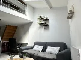 LE BORA - Duplex en Centre-ville - Puy-du-fouu