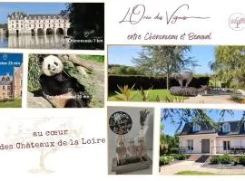 L'Orée des Vignes 41 - Chambres d'hôtes