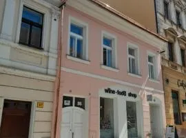 Apartmán Růženka Písek