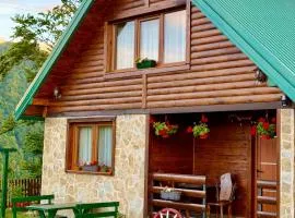 Mountain Star House