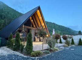 A-frame Cernat, Hotel in Albac
