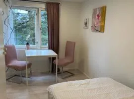 Wooden house apartment 1 km from river