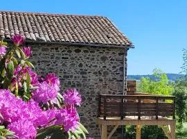 Le Clos de la Ronzière