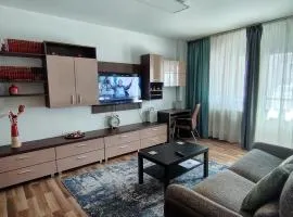 Adrian Home Mega